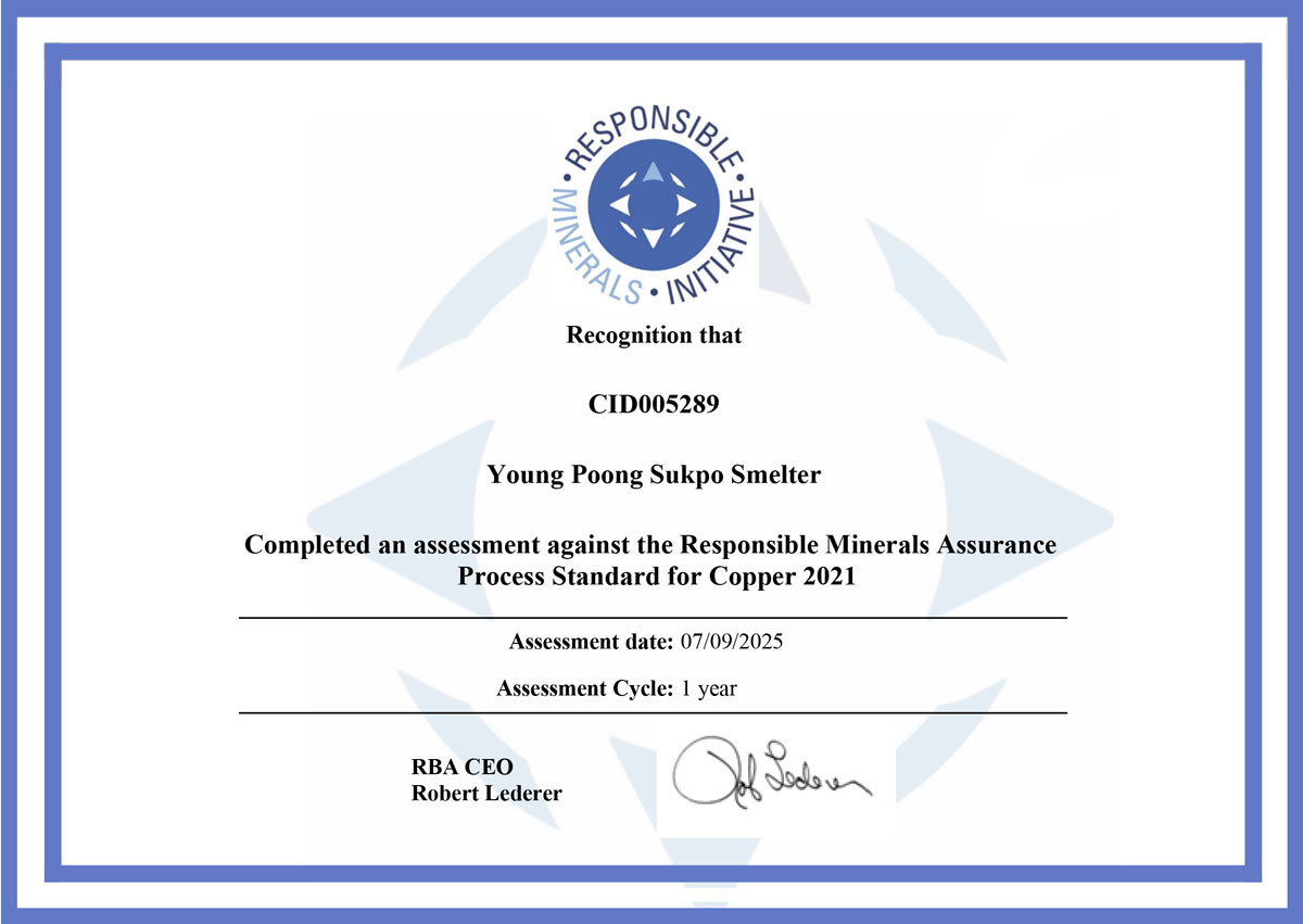 CopperConformanceRecognition